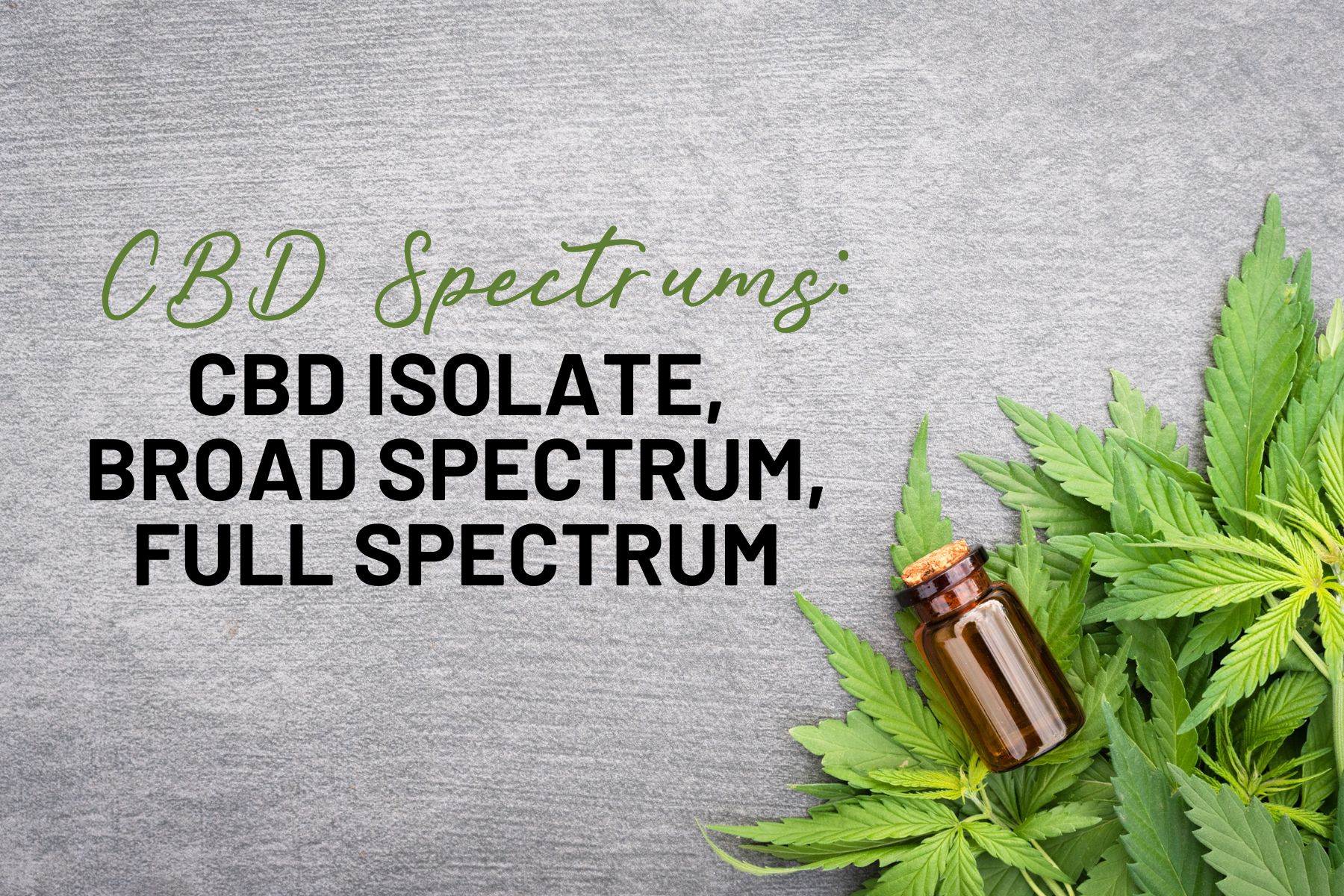 The Difference Between Isolate, Broad, and Full Spectrum CBD